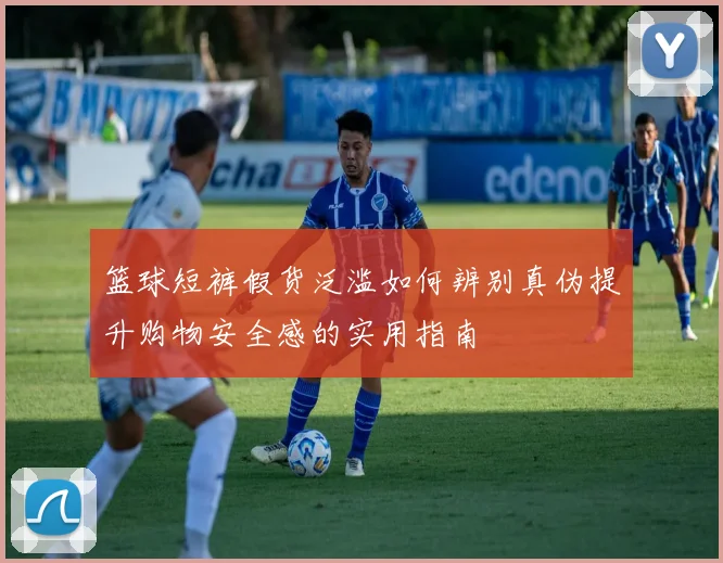 篮球短裤假货泛滥如何辨别真伪提升购物安全感的实用指南